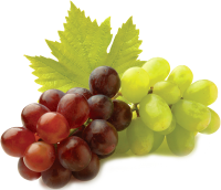 sweet grapes